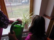 Zaléváme květiny ve školce